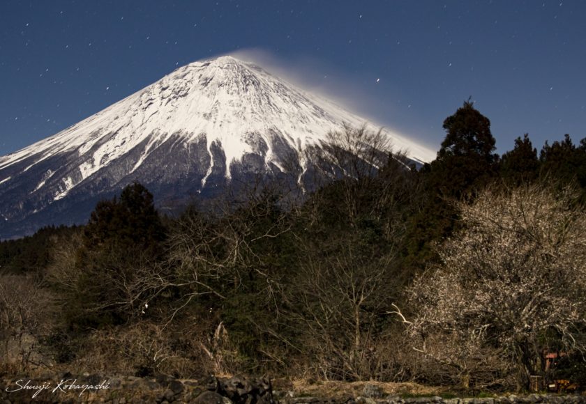 月明かりで白梅を撮影ししてきました 一期一会の写真たち